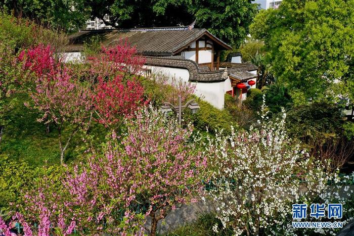 图片默认标题 图片默认标题_fororder_1