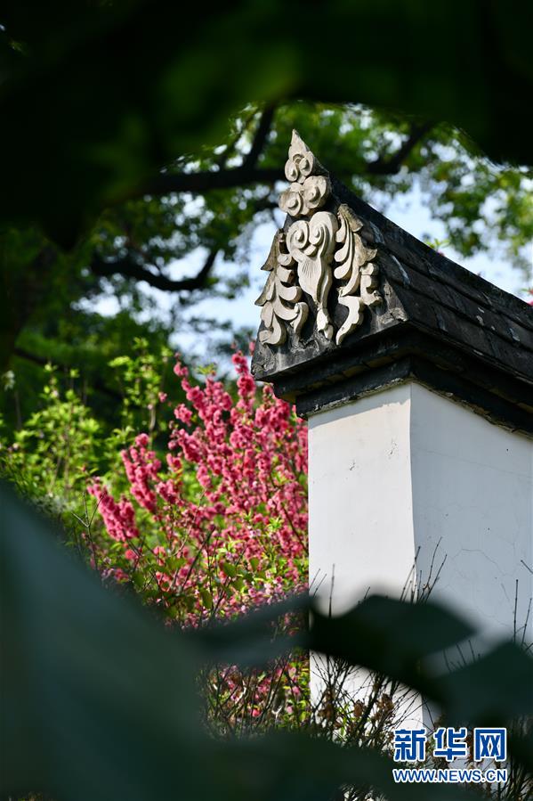 图片默认标题 图片默认标题_fororder_5