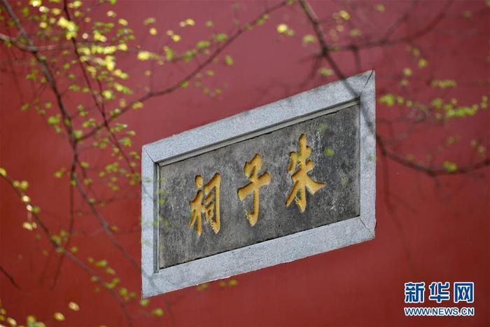 图片默认标题 图片默认标题_fororder_7