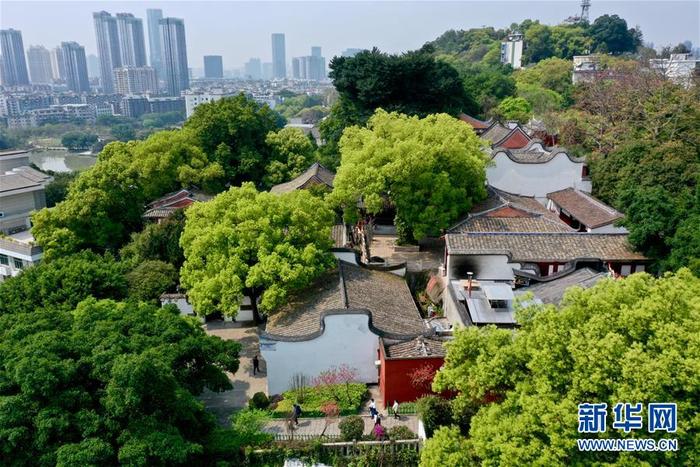 图片默认标题 图片默认标题_fororder_1 拷贝