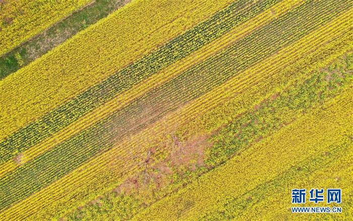 图片默认标题 图片默认标题_fororder_1125748432_15847929784381n