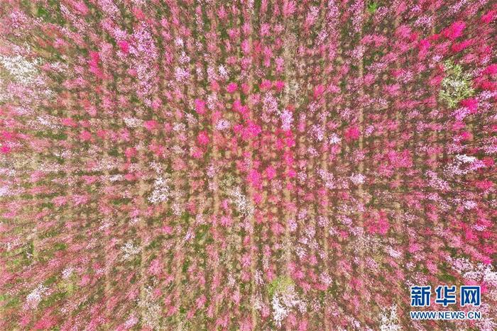 图片默认标题 图片默认标题_fororder_1125748432_15847929784001n