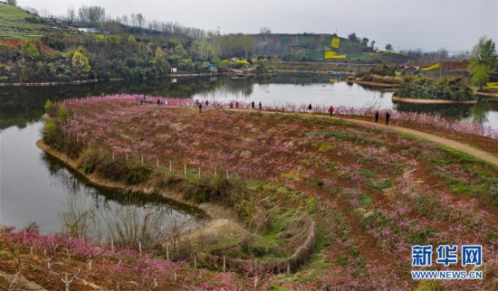 【中首  陕西   图】陕西洋县：柳山湖畔桃花红