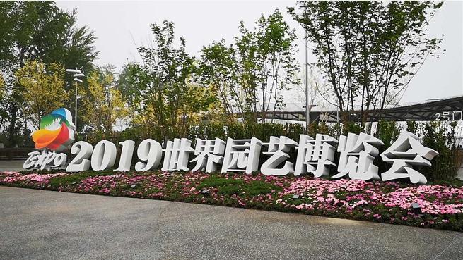 图片默认标题_fororder_1