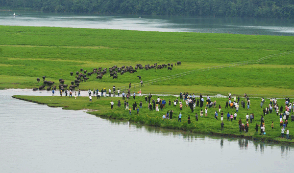 图片默认标题_fororder_4