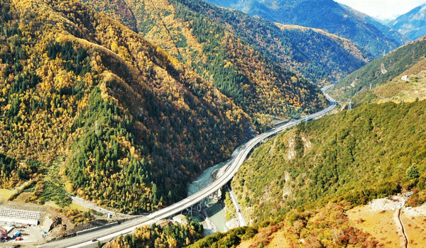 图片默认标题_fororder_3