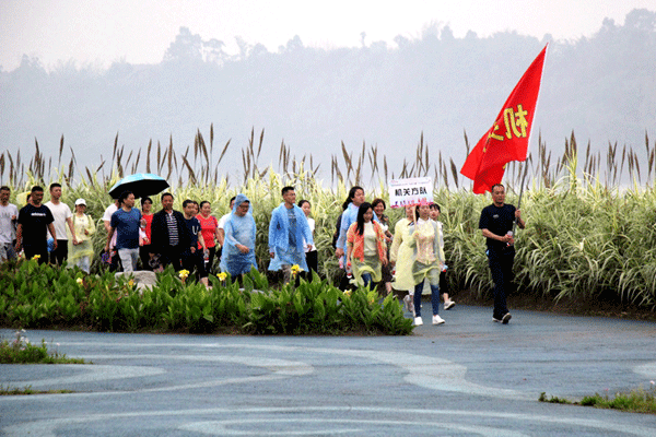 图片默认标题_fororder_3