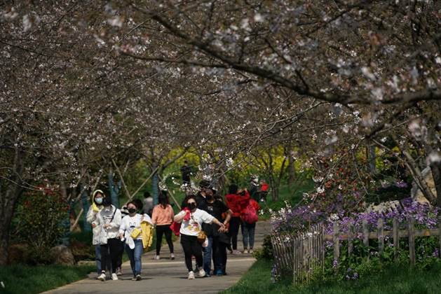 「新华网」光谷，吉庆街，江汉路……新华社记者探访武汉街巷