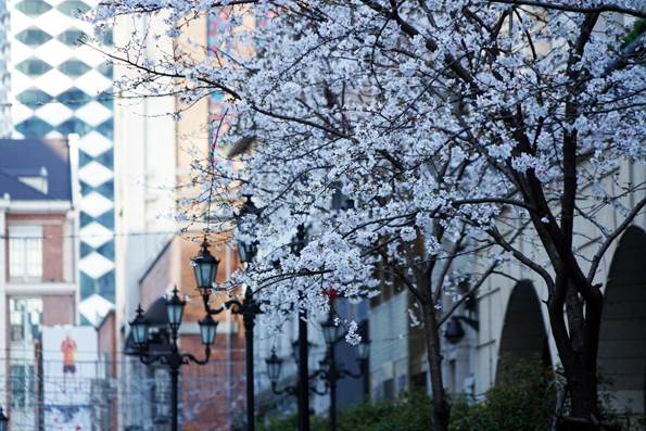 「新华网」光谷，吉庆街，江汉路……新华社记者探访武汉街巷