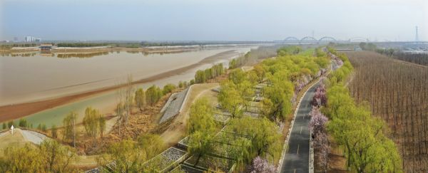 【原创】济南“沿黄九美”春暖花开 感受黄河岸边的“花海”大道