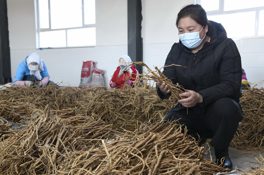 和总书记面对面 | 内蒙古团代表这样说