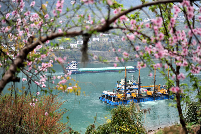 湖北宜昌：长江西陵峡 春景如画廊