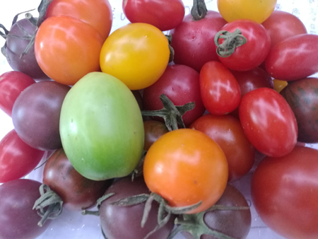 9月19日 火曜日 9月19日 火曜日