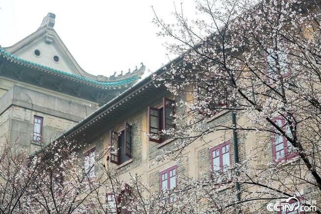 图片默认标题_fororder_0305-3