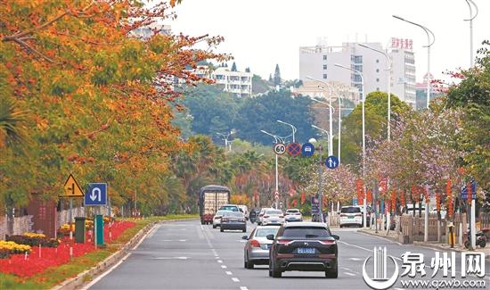 泉州市区：百花争艳处处春 一路一景惹人醉