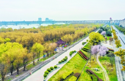 南京：春风又绿江两岸
