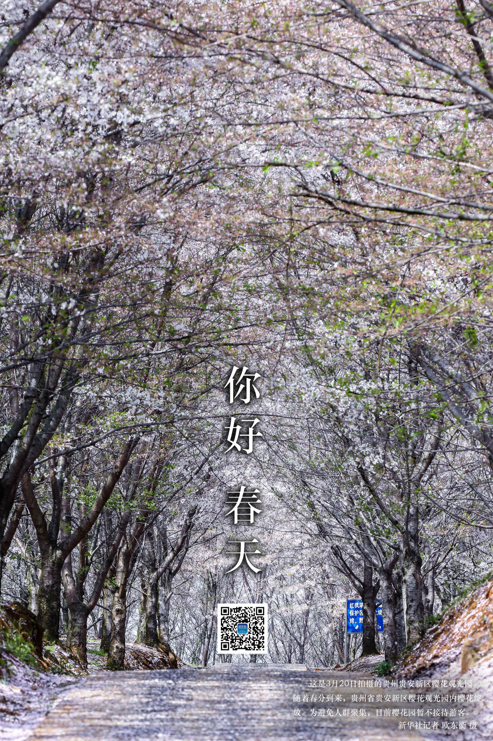 听,春天的声音!