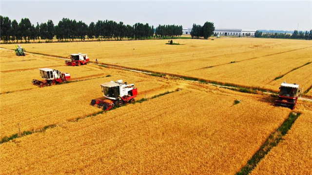 图片默认标题_fororder_乡村振兴1