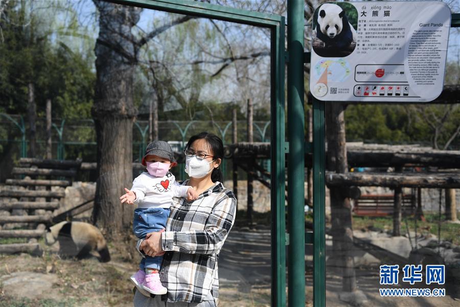 新华网：北京动物园恢复开园