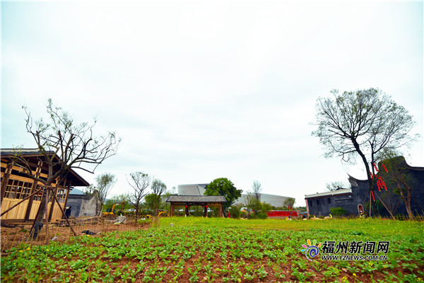 梁厝特色历史文化街区一期项目力争6月前修复完成