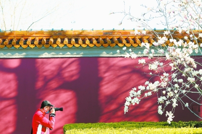 北京今年入春比常年提前了15天