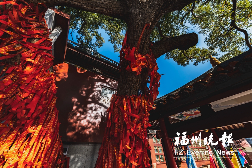 福州:“明艳”金山寺 数说“最风景”