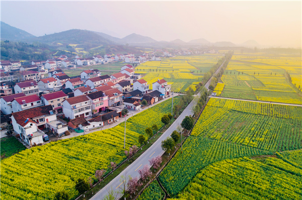 2021中国最美油菜花海汉中旅游文化节勉县会场活动正式启动