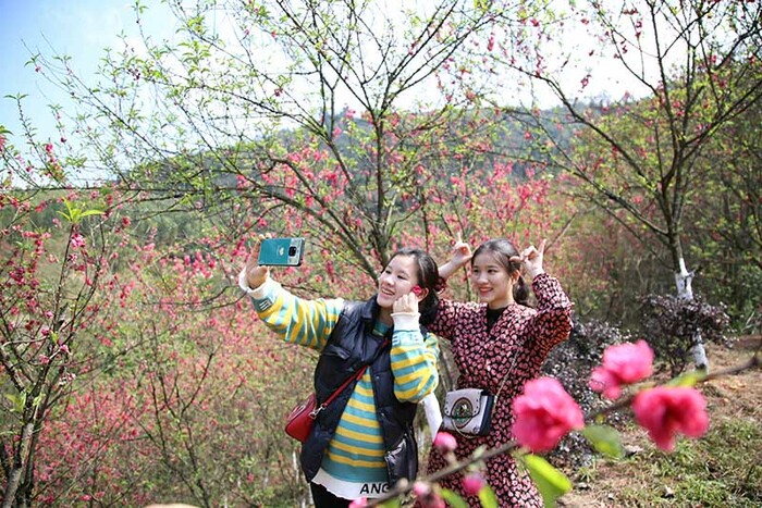 봄빛 찬란한 답청하기 좋은 곳 봄빛 찬란한 답청하기 좋은 곳_fororder_g5