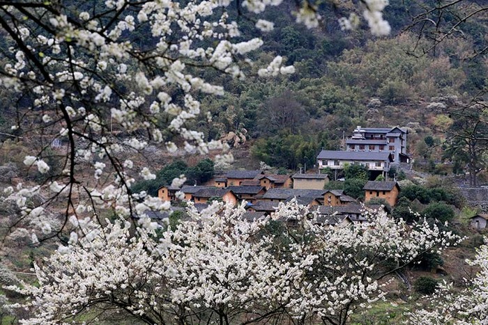 봄빛 찬란한 답청하기 좋은 곳 봄빛 찬란한 답청하기 좋은 곳_fororder_g1