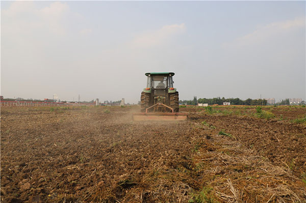 图片默认标题_fororder_1