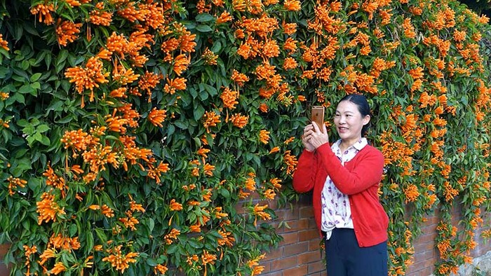 봄빛 찬란한 답청하기 좋은 곳 봄빛 찬란한 답청하기 좋은 곳_fororder_g4