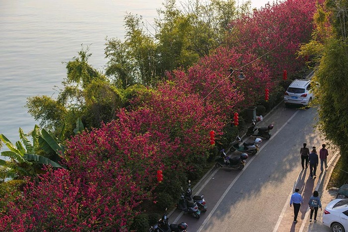 봄빛 찬란한 답청하기 좋은 곳 봄빛 찬란한 답청하기 좋은 곳_fororder_g3