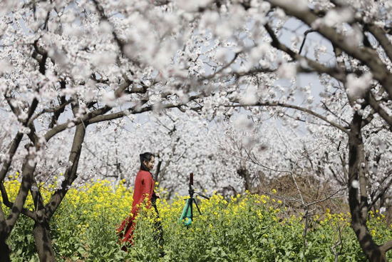 【河南供稿】平顶山市宝丰县张沟村：一个落后小山村的华丽蜕变