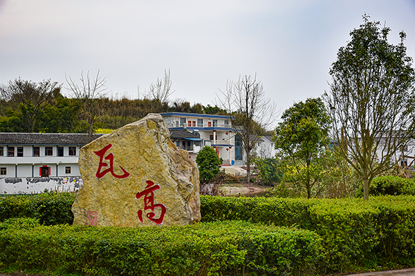 20余家媒体走进自贡大安乡村 见证贫困村脱贫新风貌_fororder_4瓦高村