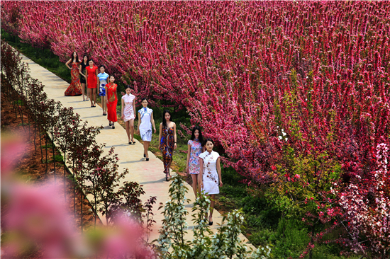 南京·浦口第七届海棠花节将于3月18日开幕