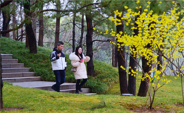 西安曲江:春日盛景惹人醉 观花踏青正当时