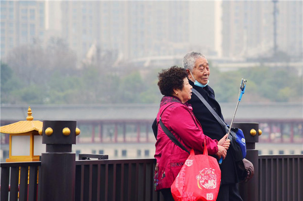 西安曲江:春日盛景惹人醉 观花踏青正当时