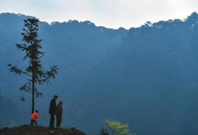 3月11日,祖孙三人站在林场高处远眺,远处的青山都是老人栽种的成材