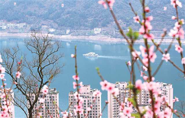 【城市远洋】重庆巫山：长江两岸生态美