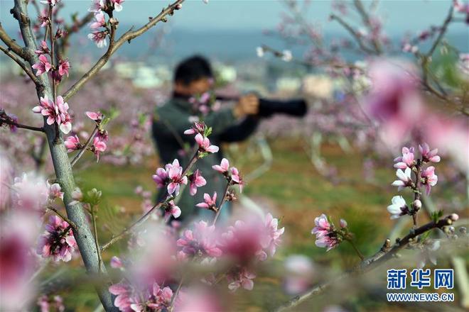 图片默认标题_fororder_1125754025_15849313178771n