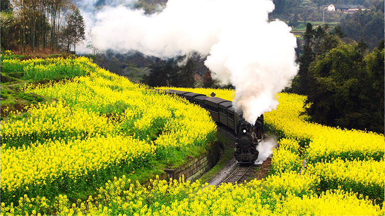 乐山嘉阳小火车 供图 四川省文化和旅游厅