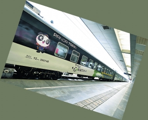 (中首)升级版“熊猫专列”驶入贵州