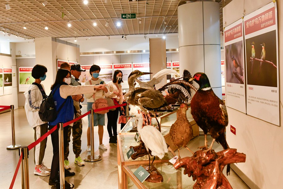 全国超过40%鸟类在福建野外可见