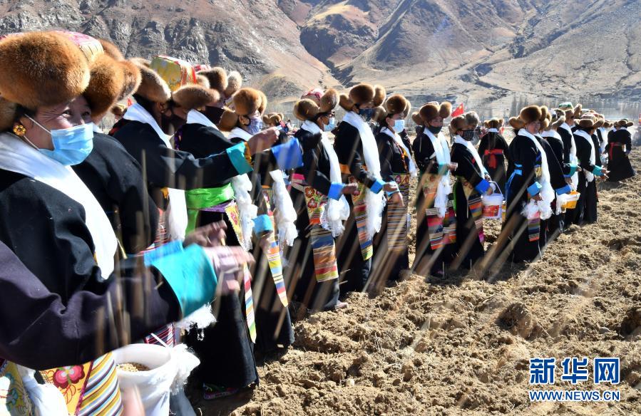 3月16日，西藏拉薩市達(dá)孜區(qū)塔杰鄉(xiāng)婦女在播撒種子。新華社記者 覺果 攝