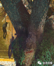 信息量爆炸!乌合麒麟又亮剑,网友集体找出这七大细节