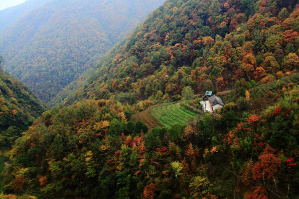 เสินหนงเจี้ย ไข่มุกสีเขียวแห่งมณฑลหูเป่ย_fororder_20210318-1