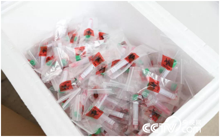 「央视网」我在武汉29天，见证中国基建攻坚战疫