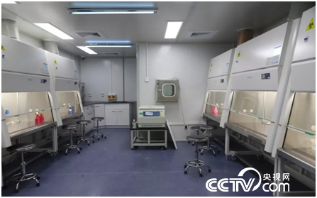 「央视网」我在武汉29天，见证中国基建攻坚战疫