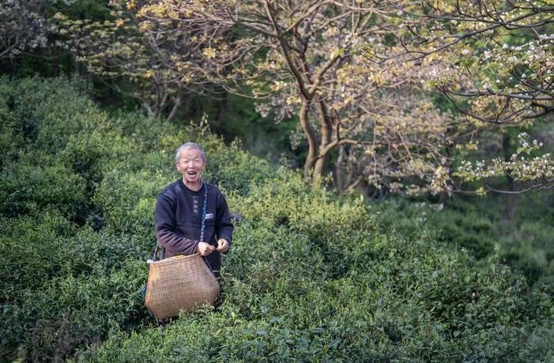 วัน “ชุนเฟิน” พบวันความสุขสากล_fororder_9