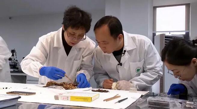 四川省三星堆遺跡で重要文化財が新たに発掘_fororder_E3